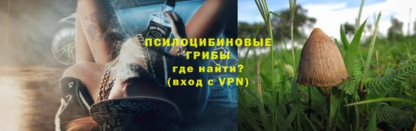 метадон Вяземский