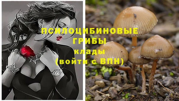 кокаин VHQ Вязники