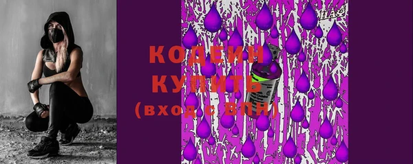 молекула духа Туринск