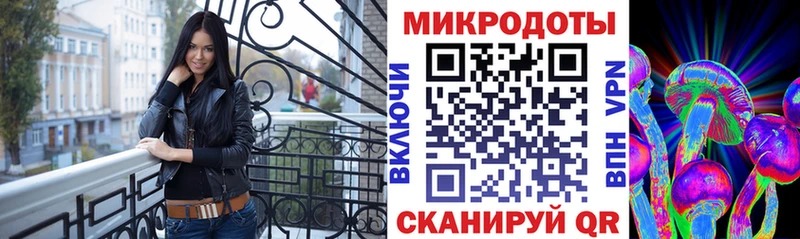 Псилоцибиновые грибы Magic Shrooms  купить наркотики цена  Закаменск 