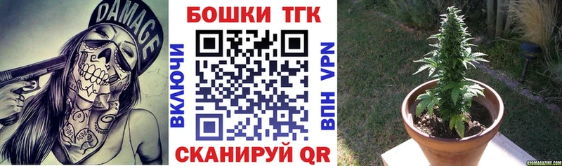 цена   MEGA ТОР  Бошки марихуана конопля  это телеграм  Закаменск 